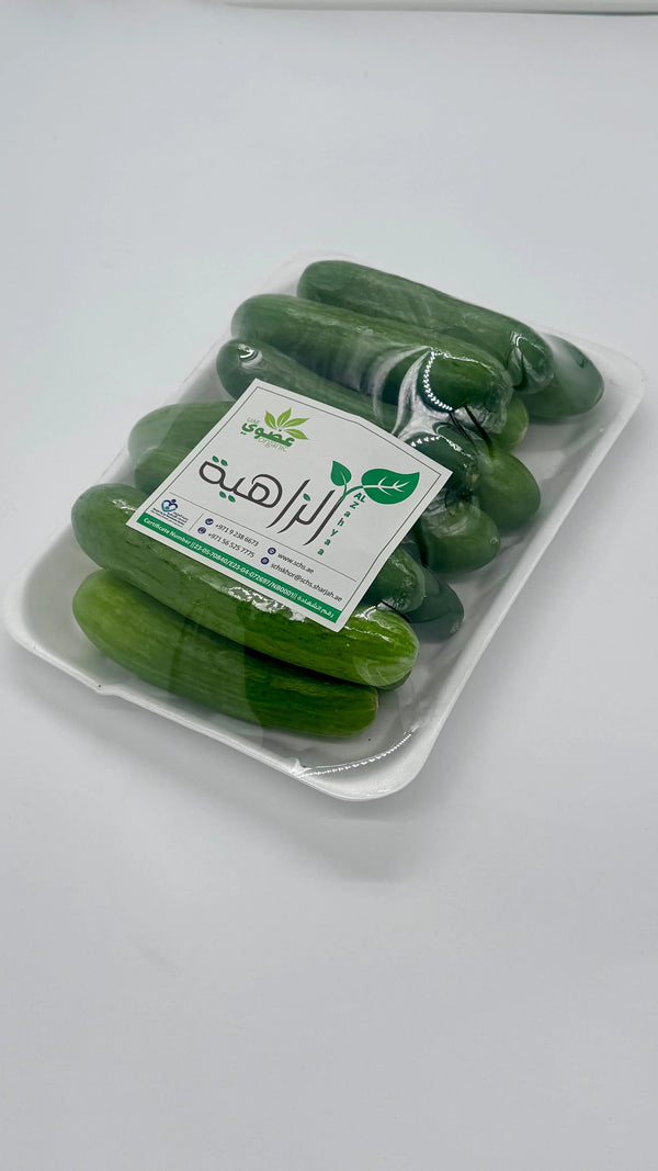 Cucumber zahia TAQUEEN